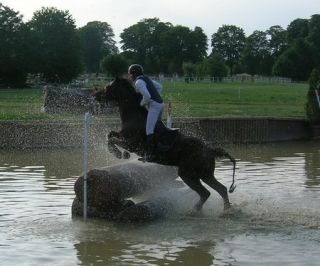  Horse jumping 